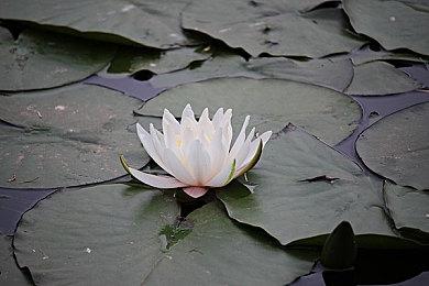 新作《天国：拯救2》意外泄露 2024年发售登陆主机和PC